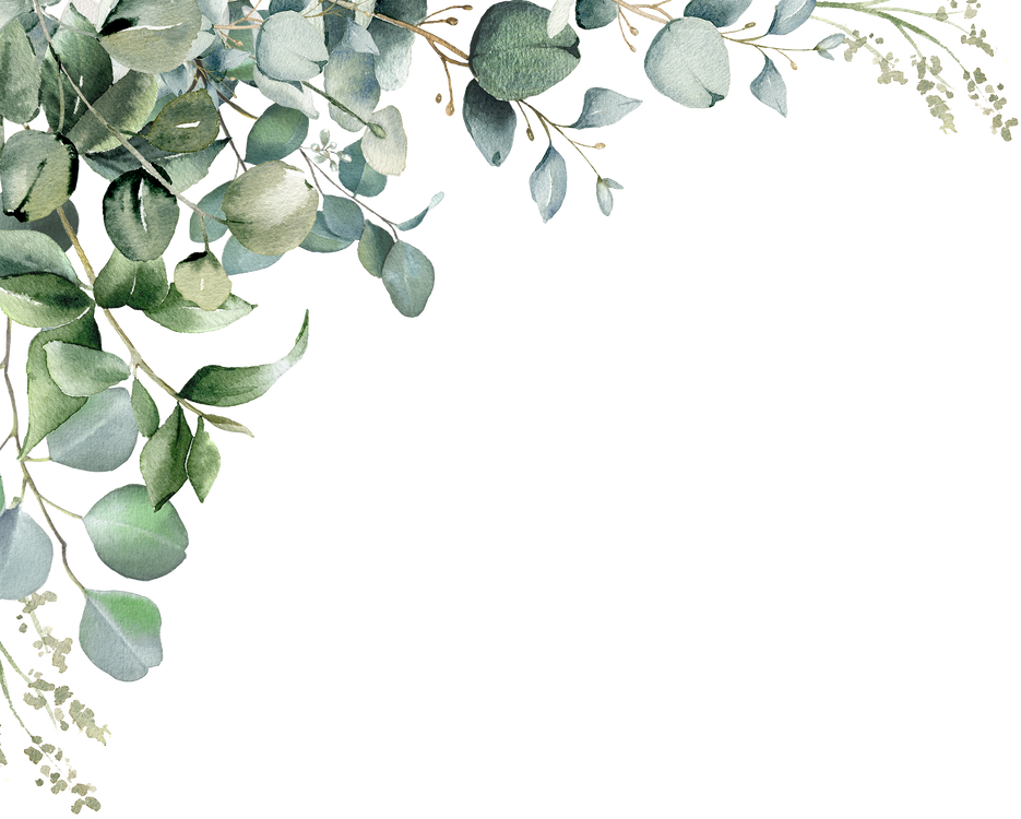 Eucalyptus corner border